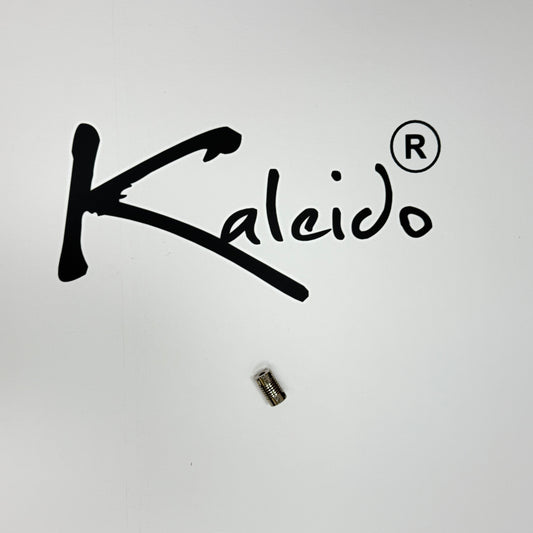 Kaleido Motor Coupling